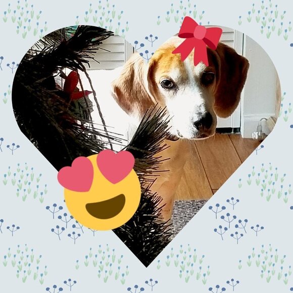 ❣ Meet your Posher, Rosecentric ❣ - Picture 6 of 6